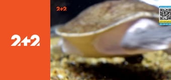 Загублений світ