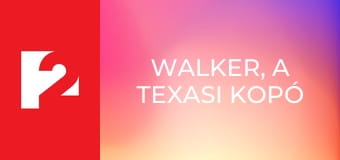 Walker, a texasi kopó S8E4 - Bosszúálló angyal Walker, a texasi kopó S8E4 - Bosszúálló angyal