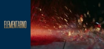 Elementary Season 3 Episode 2 Elementary Season 3 Episode 2