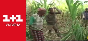 Світ навиворіт