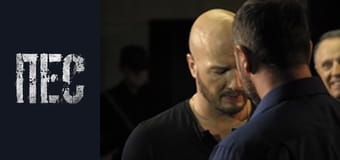 Пёс, Сезон 3, Серия 18