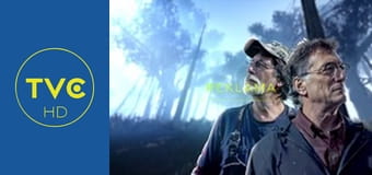 77 TV S1E1 - Przypadków lotniczych 77 TV S1E1 - Przypadków lotniczych