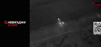 Невигадані історії. Бахмут. Рекси.