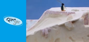 Pingu Sezon 1 Odcinek 4 Pingu Sezon 1 Odcinek 4