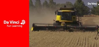 Знать всё - Что заставляет хлеб всходить?