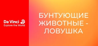 Бунтующие животные - Ловушка аморфофаллуса пионолистного