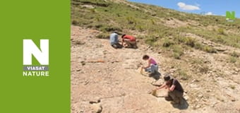 В поисках затерянных зверей - Тайны смертоносного тираннозавра