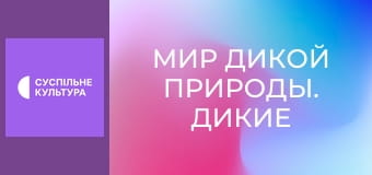 Д/с "Мир дикой природы. Дикие животные". "Американские горы".