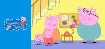 Дельфин Осёл