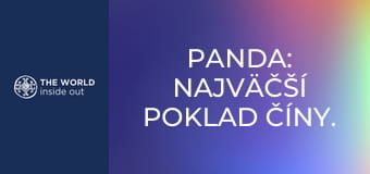 The Panda: China’s greatest treasure. Life in a mountain village. China.