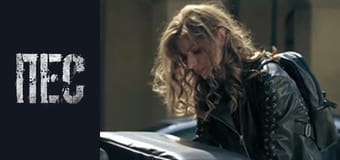 Dog, Season 5, Episode 1 Dog, Season 5, Episode 1