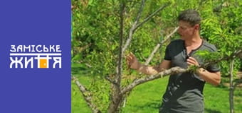 "Дачники" сезон 2 серия 11 "Дачники" сезон 2 серия 11