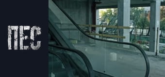 Пёс, Сезон 6, Серия 5