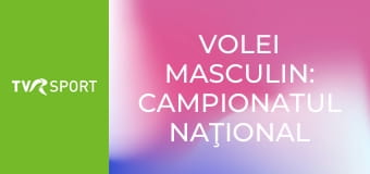 Volei masculin: Campionatul naţional Volei masculin: Campionatul naţional