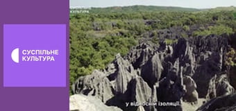 Д/с "Світ дикої природи. Дикі тварини". "Острів Мадагаскар".