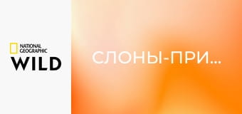 Слоны-призраки