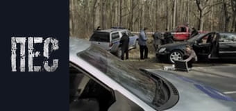 Dog, Season 1, Episode 18