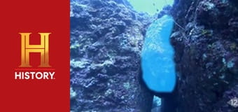 Древние пришельцы, 15 сезон, 19 эп. Первая десятка: Тайны глубин. Древние пришельцы, 15 сезон, 19 эп. Первая десятка: Тайны глубин.