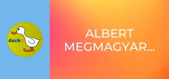 Albert megmagyarázza Albert megmagyarázza