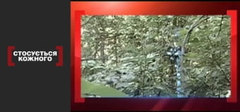 Народження на цвинтарі.