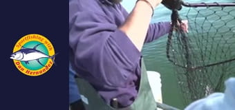 New Huck Finn, part 1 New Huck Finn, part 1