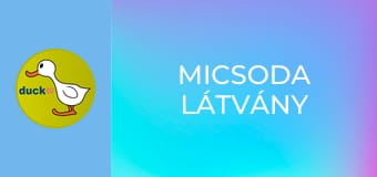 Micsoda látvány Micsoda látvány