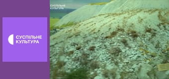 Ідемо в музей. Національний науково-природничий музей України.