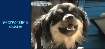 Звонки с того света. Часть 2 Звонки с того света. Часть 2