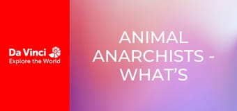 Animal Anarchists - What’s Living in This Cave?