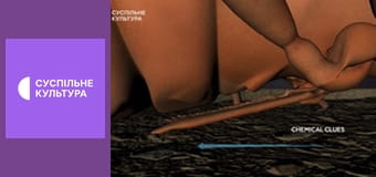 Д/с "Спецназ животного мира". "Патруль".