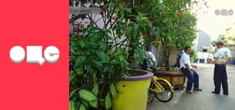 Заробітчани, 1 сезон, 13 еп.