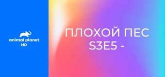 Плохой пес S3E5 - Избалованные питомцы