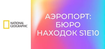 Аэропорт: бюро находок S1E10 - Сбежавшая кошка и платье с подиума