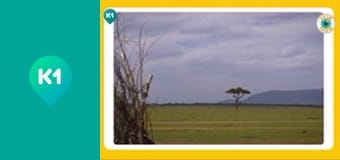 "Ух ти show". "Ух ти show".