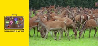 Самобутні культури, 13 еп. Трансильванія. Самобутні культури, 13 еп. Трансильванія.