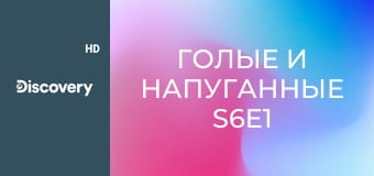 Голые и напуганные S6E1 - Медовый месяц в аду