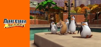 Сезон 2- Серія 11