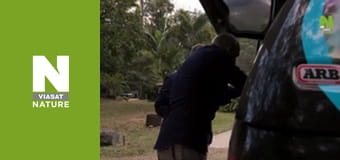 Aussie Snake Wranglers - Red Belly Returns