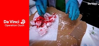 Операция "Ой!"! - Сделайте это дома - Невидимые чернила Операция "Ой!"! - Сделайте это дома - Невидимые чернила