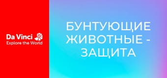 Бунтующие животные - Защита жука-бомбардира