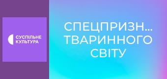 Д/с "Спецпризначенці тваринного світу". "Морська піхота".