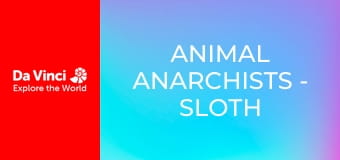 Animal Anarchists - Sloth Moths and Their Very Slow Host