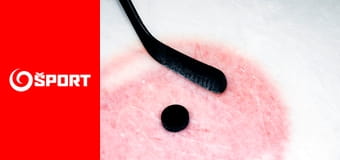 Tipos SHL Tipos SHL