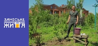 "Дачники" сезон 2 серия 13 "Дачники" сезон 2 серия 13