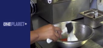 It is worth visiting. - episode 20