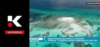 Цікаві факти.