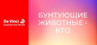 Бунтующие животные - Кто живёт в этой пещере? Бунтующие животные - Кто живёт в этой пещере?