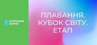 Плавання. Кубок світу. Етап 3 у Торонто, Канада. День 3.