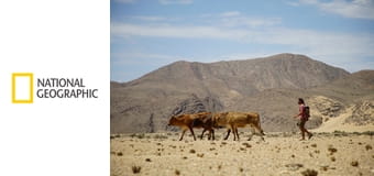 Сила племени E3 - Враждебный каньон Сила племени E3 - Враждебный каньон