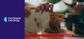 Фігурне катання. Гран-прі ISU. Гран-прі Франції. Чоловіки. Коротка програма. Фігурне катання. Гран-прі ISU. Гран-прі Франції. Чоловіки. Коротка програма.